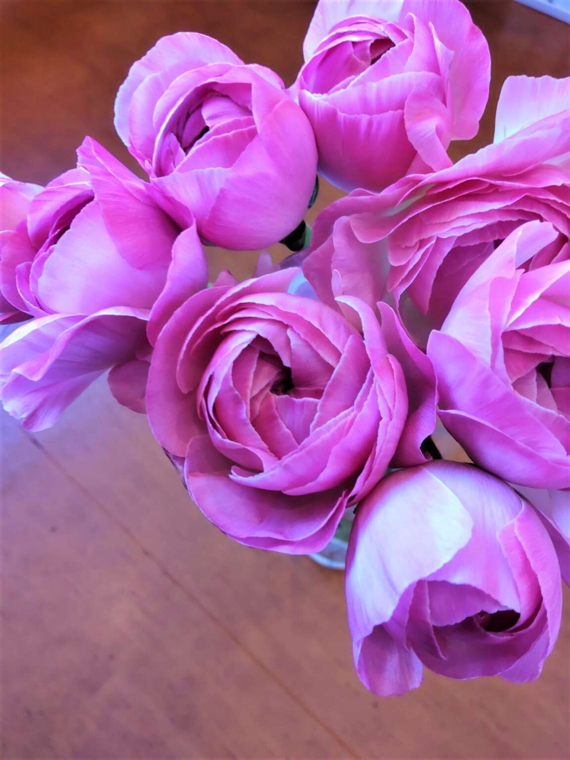 帯広市・花屋 お花の事ならM's flower