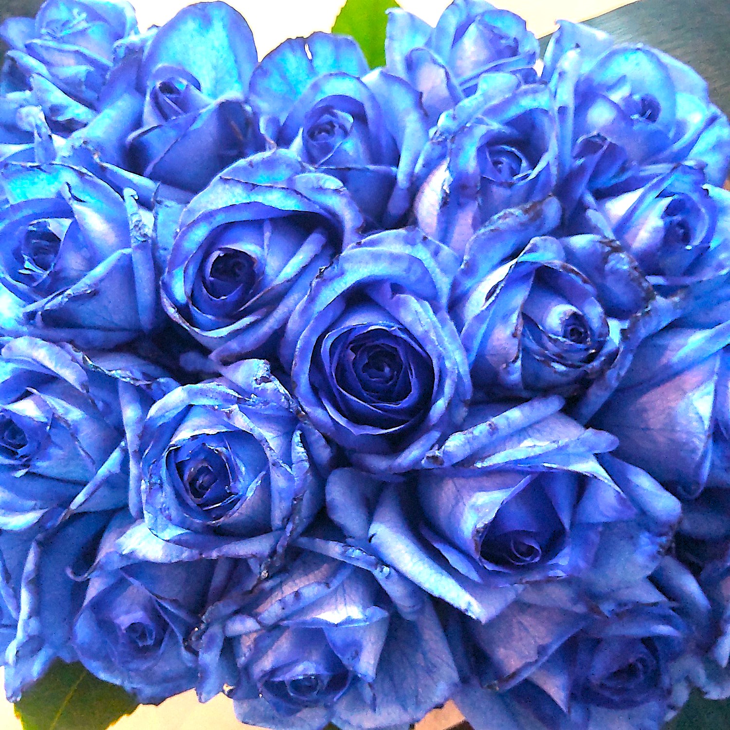 青薔薇のブーケ～